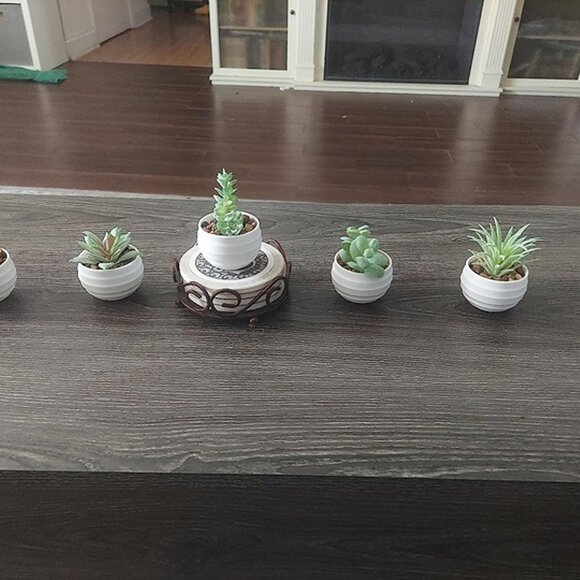 NEW Set of 6 Succulents Plants Artificial in Pots Small Fake Plants. - Picture 9 of 9